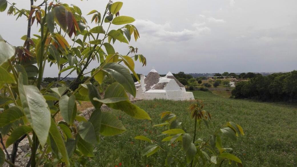 オストゥーニ Borgo Trulli 1789 Bed & Breakfast エクステリア 写真