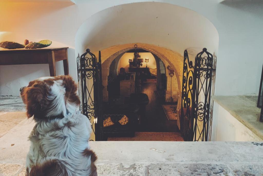 オストゥーニ Borgo Trulli 1789 Bed & Breakfast エクステリア 写真